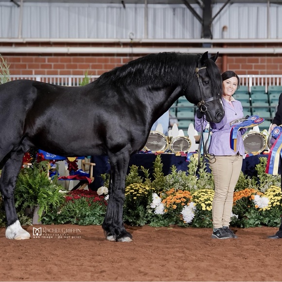 Meet your Posher, Amanda - Picture 1 of 1